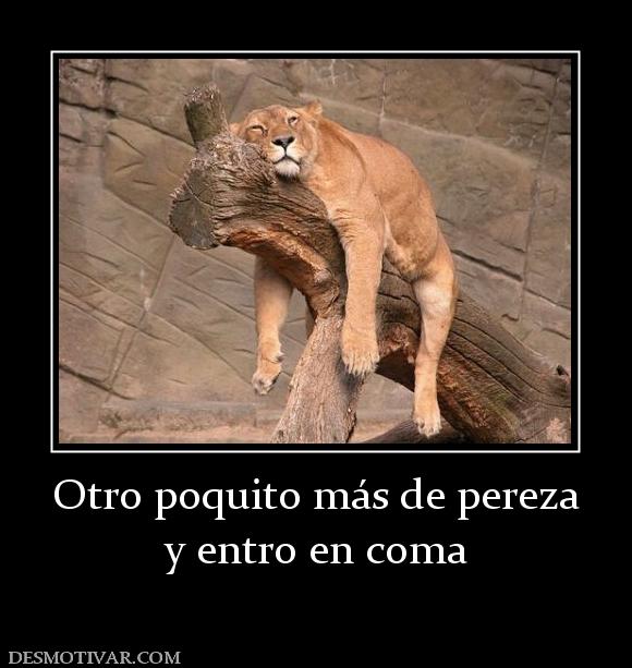 Otro poquito más de pereza y entro en coma
