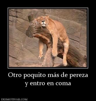 Otro poquito más de pereza y entro en coma