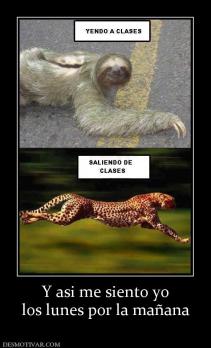 Y asi me siento yo los lunes por la mañana