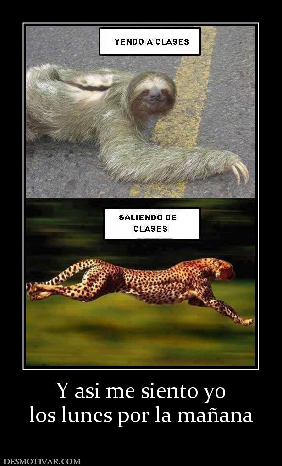 Y asi me siento yo los lunes por la mañana