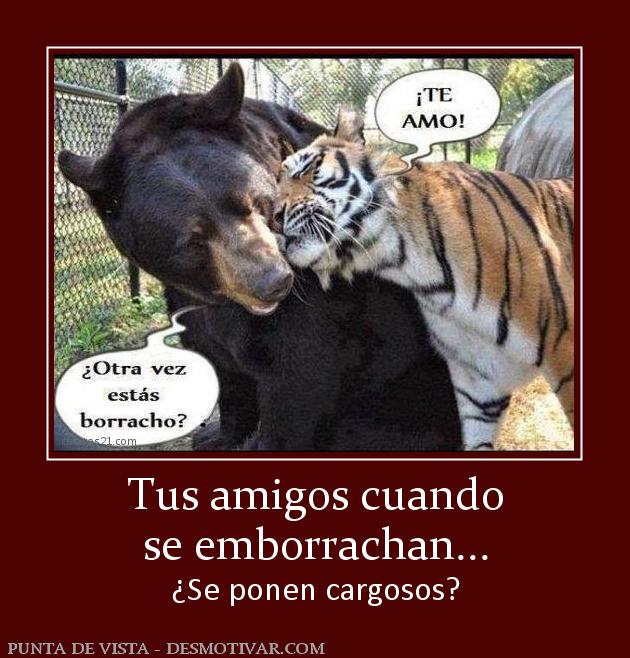 Tus amigos cuando se emborrachan... ¿Se ponen cargosos?