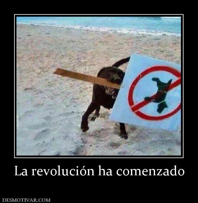 La revolución ha comenzado