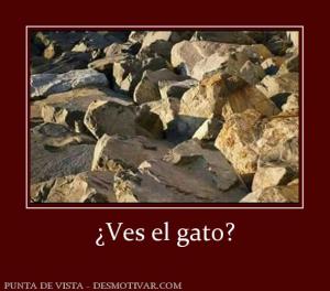 ¿Ves el gato?