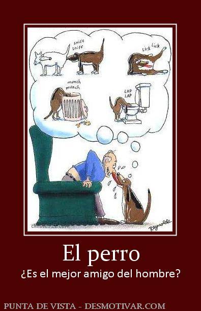 El perro ¿Es el mejor amigo del hombre?