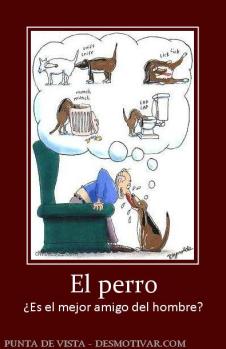 El perro ¿Es el mejor amigo del hombre?