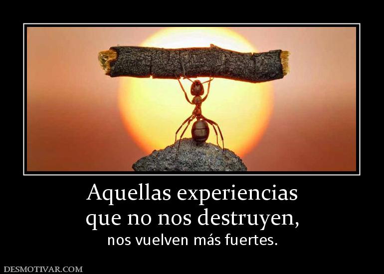 Aquellas experiencias que no nos destruyen,  nos vuelven más fuertes.