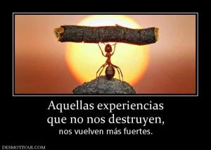 Aquellas experiencias que no nos destruyen,  nos vuelven más fuertes.