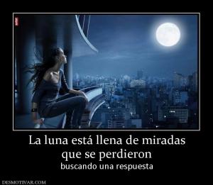 La luna está llena de miradas que se perdieron  buscando una respuesta