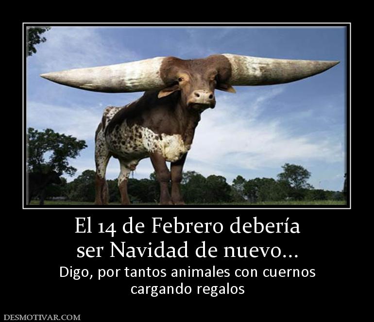 El 14 de Febrero debería ser Navidad de nuevo... Digo, por tantos animales con cuernos cargando regalos