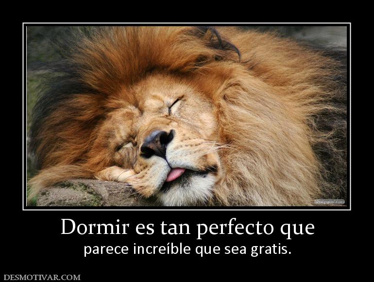 Dormir es tan perfecto que parece increíble que sea gratis.