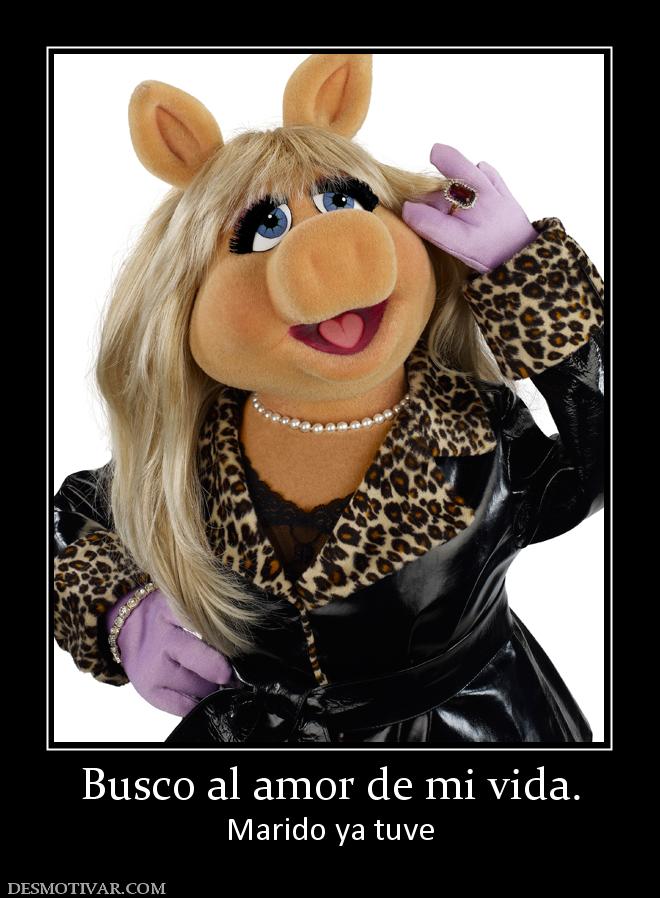 Busco al amor de mi vida. Marido ya tuve