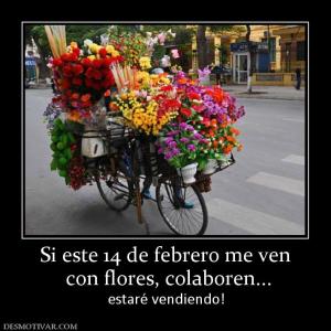 Si este 14 de febrero me ven  con flores, colaboren... estaré vendiendo!