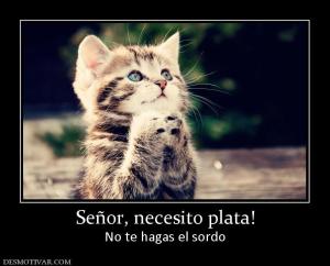 Señor, necesito plata! No te hagas el sordo