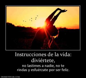 Instrucciones de la vida: diviértete,  no lastimes a nadie, no te rindas y esfuérzate por ser feliz.