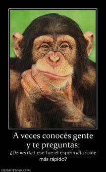 A veces conocés gente y te preguntas: ¿De verdad ese fue el espermatozoide más rápido?