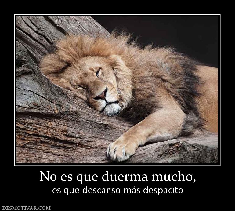 No es que duerma mucho, es que descanso más despacito