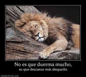 No es que duerma mucho, es que descanso más despacito