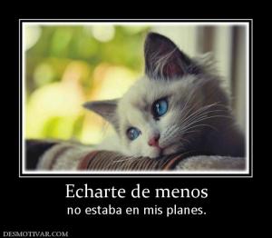 Echarte de menos no estaba en mis planes.