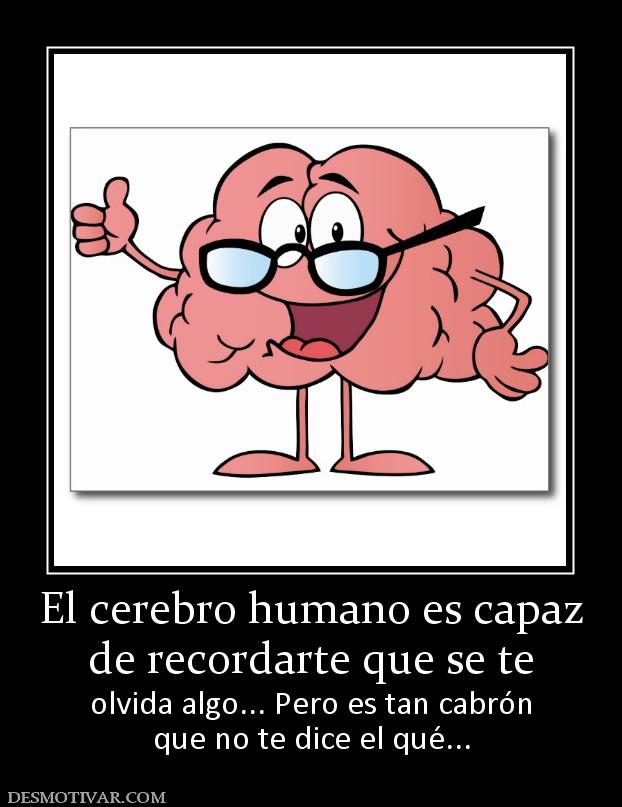 El cerebro humano es capaz de recordarte que se te  olvida algo... Pero es tan cabrón que no te dice el qué...