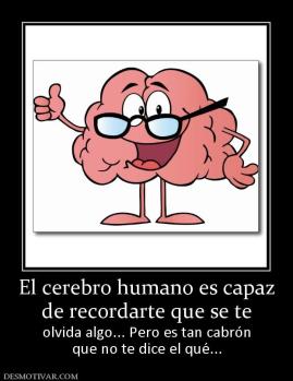 El cerebro humano es capaz de recordarte que se te  olvida algo... Pero es tan cabrón que no te dice el qué...
