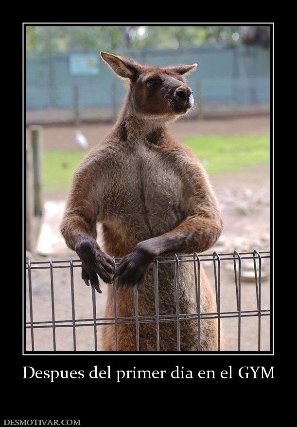 Despues del primer dia en el GYM