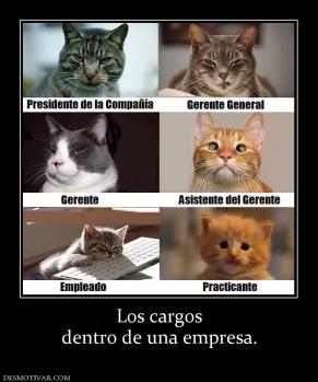 Los cargos dentro de una empresa.
