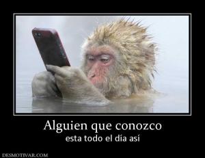 Alguien que conozco esta todo el día así
