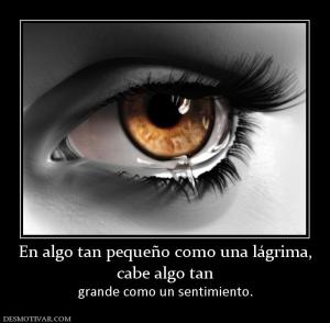 En algo tan pequeño como una lágrima, cabe algo tan grande como un sentimiento.