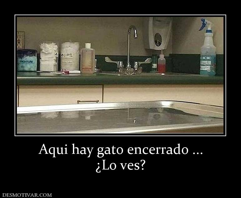Aqui hay gato encerrado ... ¿Lo ves?