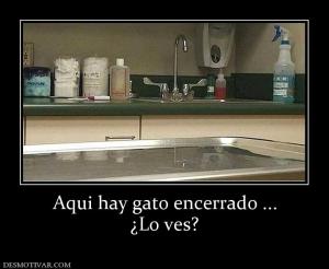 Aqui hay gato encerrado ... ¿Lo ves?