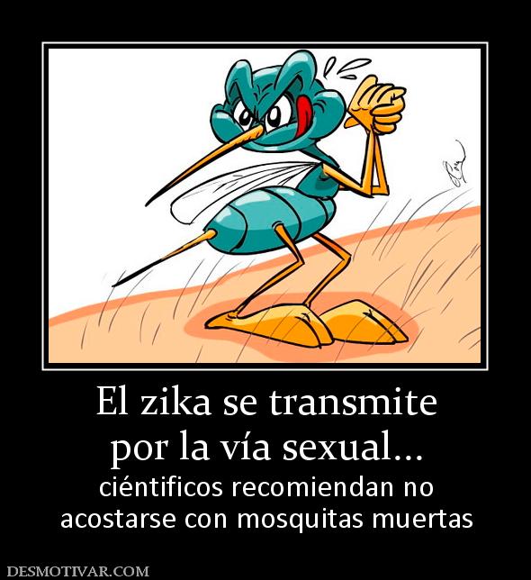 El zika se transmite por la vía sexual... ciéntificos recomiendan no acostarse con mosquitas muertas