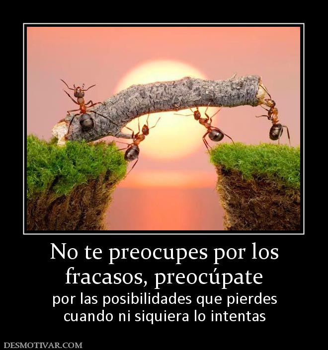 No te preocupes por los fracasos, preocúpate  por las posibilidades que pierdes cuando ni siquiera lo intentas