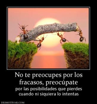 No te preocupes por los fracasos, preocúpate  por las posibilidades que pierdes cuando ni siquiera lo intentas