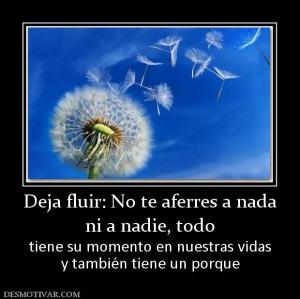 Deja fluir: No te aferres a nada ni a nadie, todo tiene su momento en nuestras vidas y también tiene un porque
