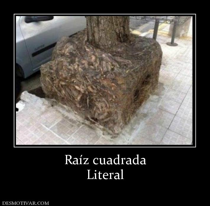 Raíz cuadrada Literal