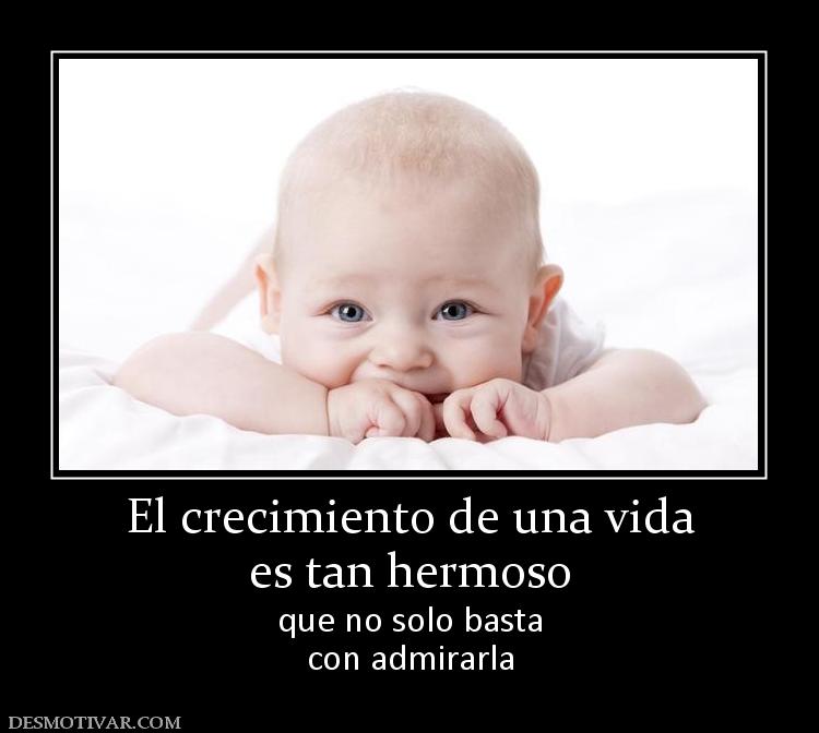 El crecimiento de una vida es tan hermoso que no solo basta con admirarla