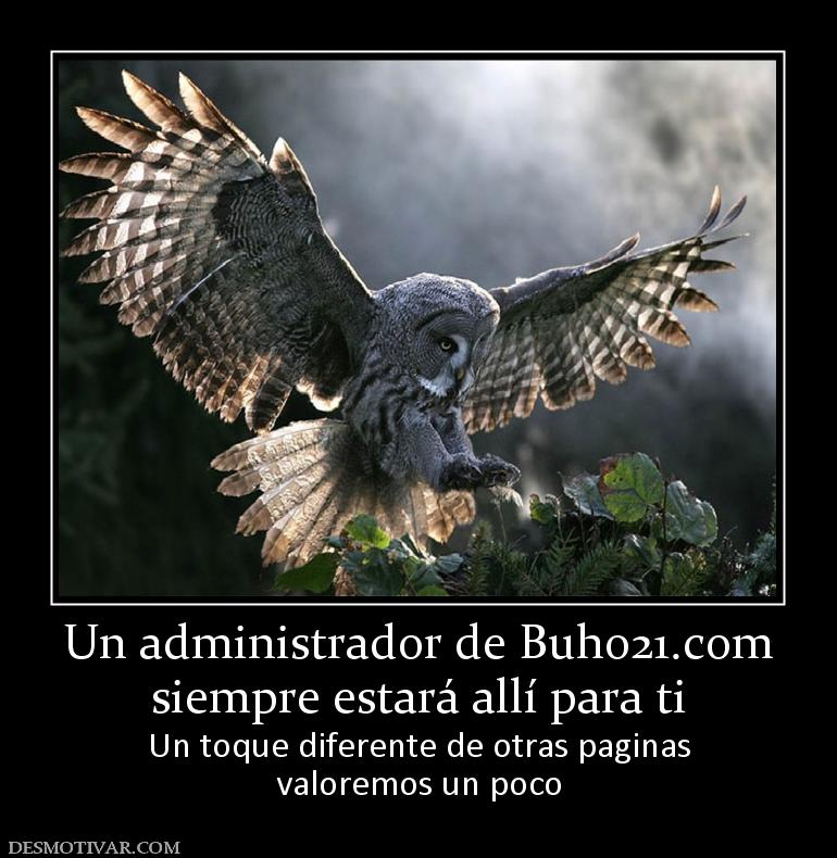 Un administrador de buho21.org siempre estará allí para ti Un toque diferente de otras paginas valoremos un poco