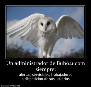 Un administrador de Buho21.com siempre: alertas, serviciales, trabajadores a disposición de sus usuarios