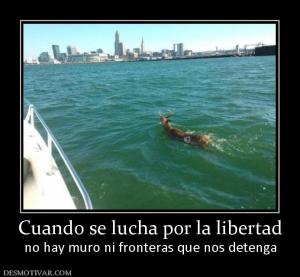 Cuando se lucha por la libertad no hay muro ni fronteras que nos detenga