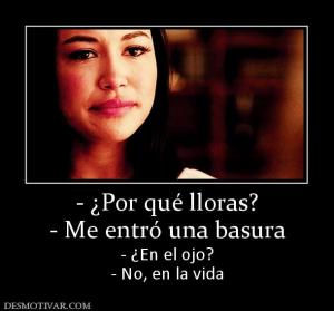 - ¿Por qué lloras? - Me entró una basura - ¿En el ojo? - No, en la vida