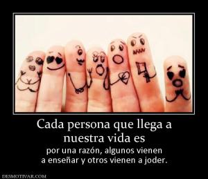 Cada persona que llega a nuestra vida es  por una razón, algunos vienen a enseñar y otros vienen a joder.