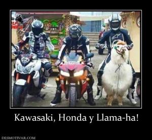 Kawasaki, Honda y Llama-ha!
