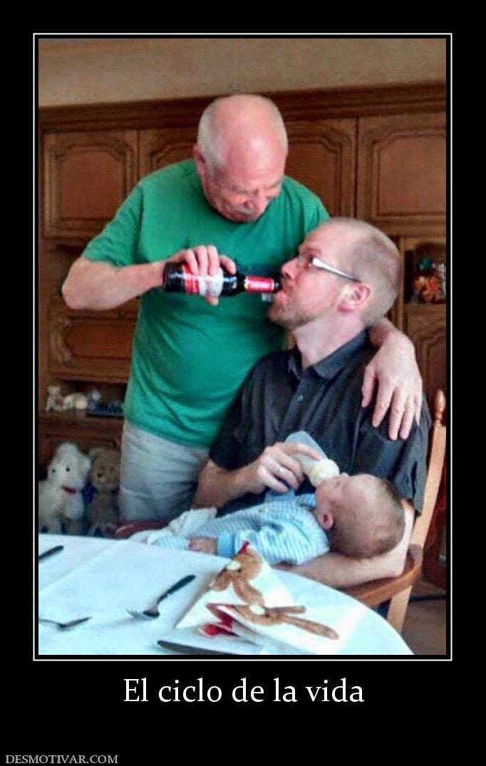 El ciclo de la vida