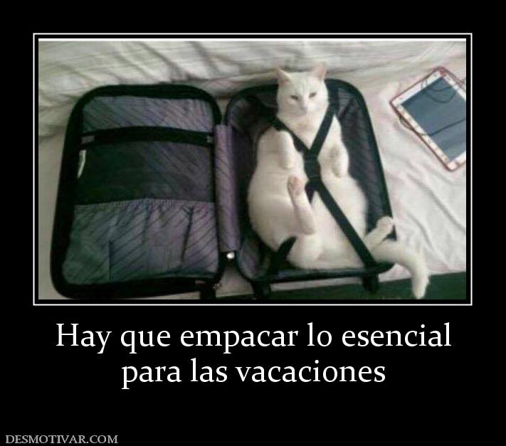 Hay que empacar lo esencial para las vacaciones