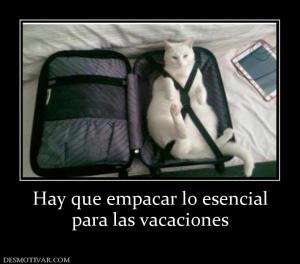 Hay que empacar lo esencial para las vacaciones
