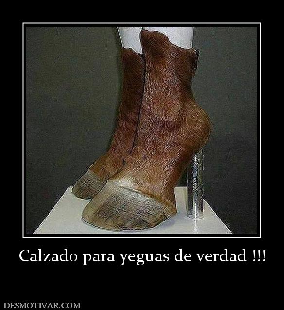 Calzado para yeguas de verdad !!!