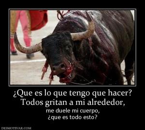 ¿Que es lo que tengo que hacer? Todos gritan a mi alrededor, me duele mi cuerpo, ¿que es todo esto?