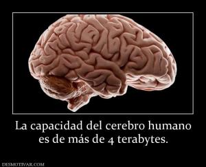 La capacidad del cerebro humano es de más de 4 terabytes.