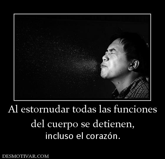 Al estornudar todas las funciones del cuerpo se detienen,  incluso el corazón.