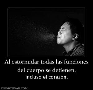 Al estornudar todas las funciones del cuerpo se detienen,  incluso el corazón.